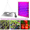 Підвісна світлодіодна панель для кімнатних рослин теплиць / фітолампа 81 LED QRCP-01591, фото 2