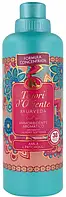 Кондиціонер для прання Tesori d'Oriente "Аюрведа" з олією амли та пачулі (760мл.)