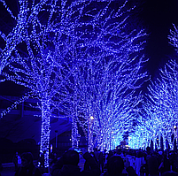 Світлодіодна гірлянда Нитка вулична 40 м 800 Led, Новорічна гірлянда СИНЯ, на дерево ялинку для дому ЗЕЛ. ПРОВ.