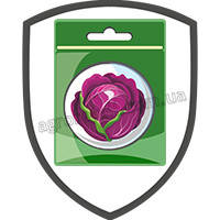 Насіння капусти червонокачанної пакетовані