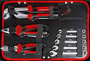 Набір слюсарного інструменту в кейсі Holzmann WZK119ECO 119 елементів, фото 2