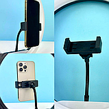 Кільцева лампа RGB 26 см на пантографі, Кольорова лампа для селфі, Кільцева лампа з тримачем до телефона, фото 7