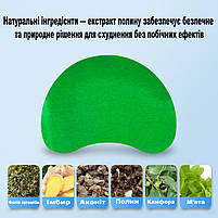 Пластир для схуднення на талію та живіт 12шт. Жироспалюючий пластир для схуднення на 6-8 годин, фото 4