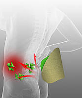 Пластир для схуднення на талію та живіт 12шт. Жироспалюючий пластир для схуднення на 6-8 годин, фото 8