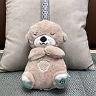 М'яка дитяча іграшка дихаюча видра Сіра fisher price для сну, іграшка-нічник Видра з функцією дихання, фото 7