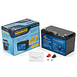 Літій-ферумний акумулятор Weekender LIFEPO4 12v100Ah + зарядний 30A, фото 9