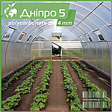 Теплиця "Дніпро-5" 5х20 м / профільна труба 30Х30 мм / стільниковий полікарбонат Standard 4 мм, фото 2