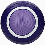 Футбольний м'яч Nike Academy Liverpool FB2899-547 (розмір 5),, фото 2