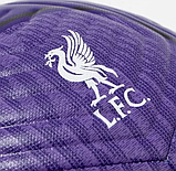 Футбольний м'яч Nike Academy Liverpool FB2899-547 (розмір 5),, фото 4