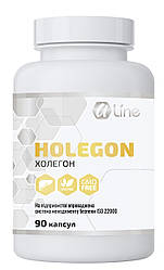 Холегон — антипаразитарні таблетки, жовчогінні від опісторхів і лямблій 90 капс. Арт Лайф