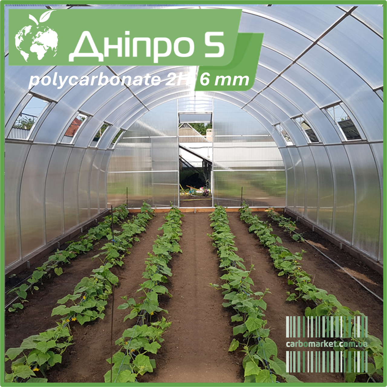 Теплиця "Дніпро-5" 5х14 м / профільна труба 30Х30 мм / стільниковий полікарбонат PREMIUM 8 мм, фото 1