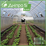 Теплиця "Дніпро-5" 5х8 м / профільна труба 30Х30 мм / стільниковий полікарбонат Standard 10 мм, фото 2