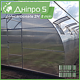 Теплиця "Дніпро-5" 5х20 м / профільна труба 30Х30 мм / стільниковий полікарбонат Standard 8 мм, фото 4