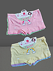 Труси шортики дитячі на дівчаток 4-6 років. От 6шт по 20,50грн, фото 5