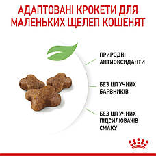 АКЦІЯ Royal Canin Kitten сухий корм для кошенят 2 кг + 12 паучів, фото 5