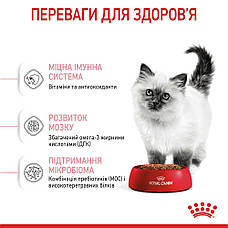 АКЦІЯ Royal Canin Kitten сухий корм для кошенят 2 кг + 12 паучів, фото 6