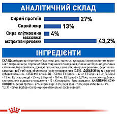 АКЦІЯ Royal Canin Indoor сухий корм для котів 4 кг + наповнювач Catsan 5 л, фото 4