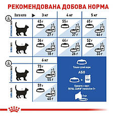 АКЦІЯ Royal Canin Indoor 7+ сухий корм для котів 3,5 кг + наповнювач Catsan 5 л, фото 5