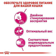 АКЦІЯ Royal Canin Exigent Savour сухий корм для вибагливих кішок 4 кг + наповнювач Catsan 5л, фото 6