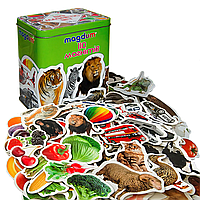 Набір дитячих магнітів на холодильник Magdum реалістичні зображення тварин транспорт фрукти 110 елементів в жестяній банці