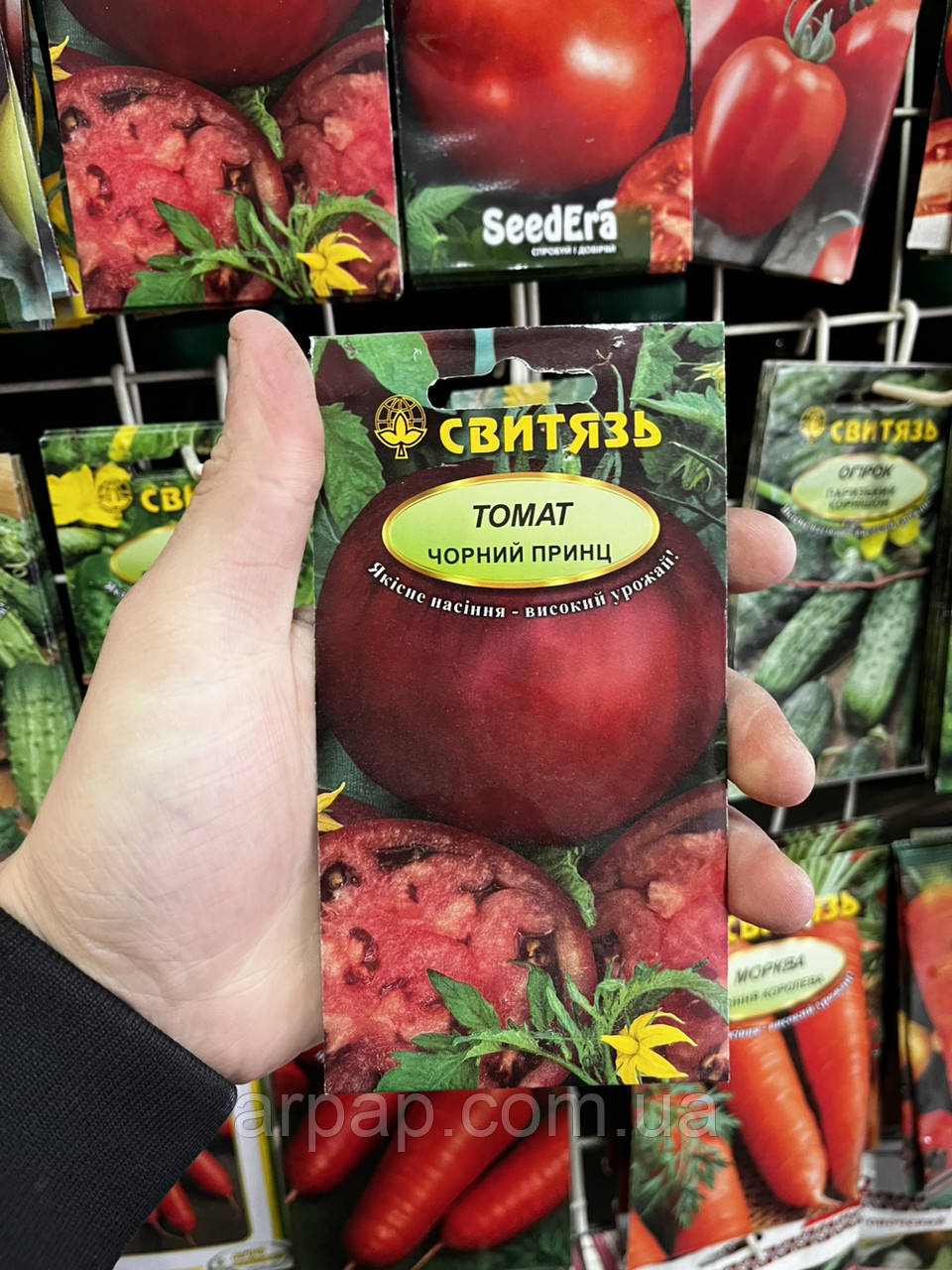 Томат Чорний принц (Свитязь) 0,1 г, фото 1