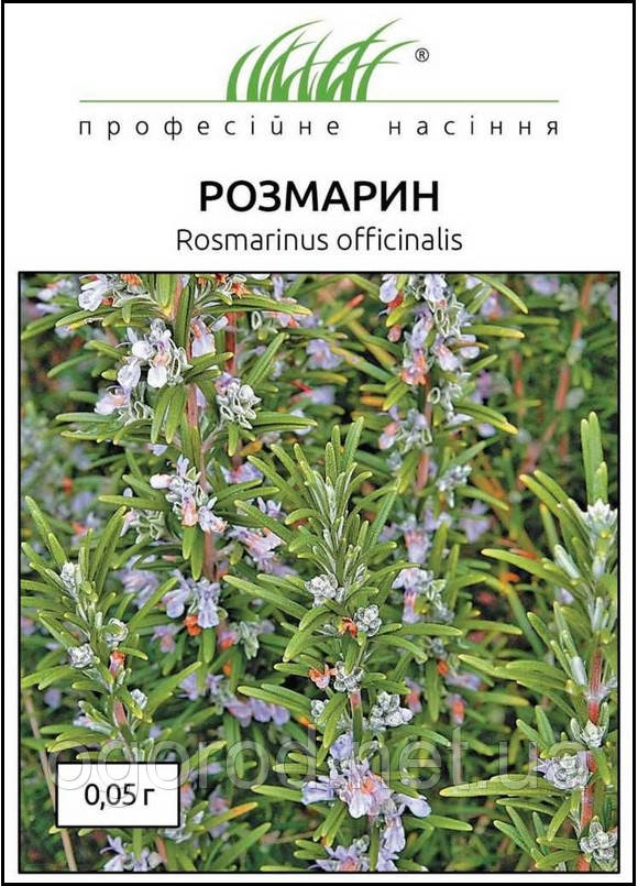 Розмарин насіння 0,05 грамів Hem Zaden, Голландія