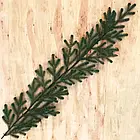 Штучна гірлянда на новорічні свята зелена Хвоя Traditional 120 см -, фото 3