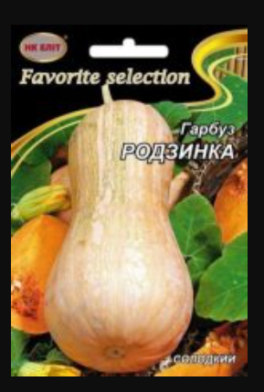 Насіння Гарбуз середньостиглий сорт Родзинка 10 г НК Еліт