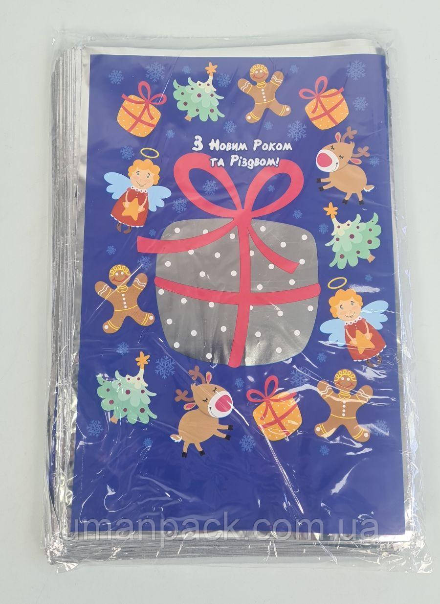 Новорічні поліетилени для Конфетів і Подарунків (20*30) No45 Новорічний подарунок (100 шт.)