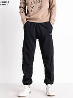 Штани спортивні чоловічі на флісі (Розміри: 46-54)
