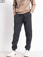 Штани спортивні чоловічі на флісі (Розміри: 46-54)