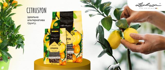 Lechuza CitrusPON – ідеальний субстрат для вирощування цитрусових