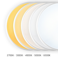 LED Світильник аварійний 30W 2700-6500К 220V Videx, фото 6