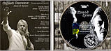 Музичний здавна диск СЕРГЕЙ СКАЧКІВ Холод душі (2008) (audio cd), фото 3
