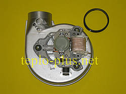 Вентилятор Ebmpapst RLG108/4200A34-3030LH-557 De Dietrich MS 24 FF, MS 24 MI FF