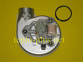 Запасні частини De Dietrich