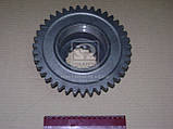 Шестірня приводу ВОМ МТЗ 2 ступ. Z = 39 (пр. о.Ровно) 70-1601086, фото 2