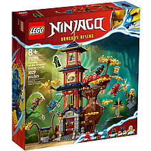 Конструктор LEGO Ninjago 71795 Храм енергетичного серця дракона