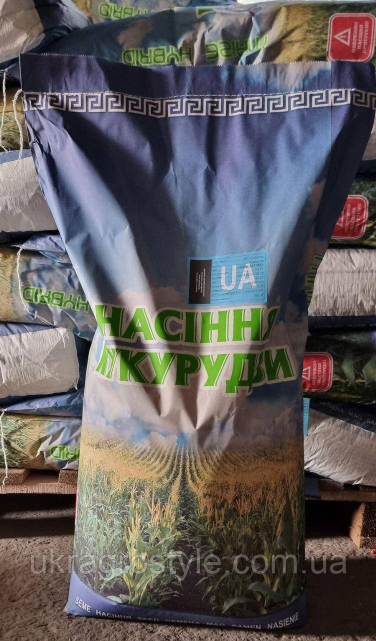 Галатея ФАО 260 Насіння кукурудзи