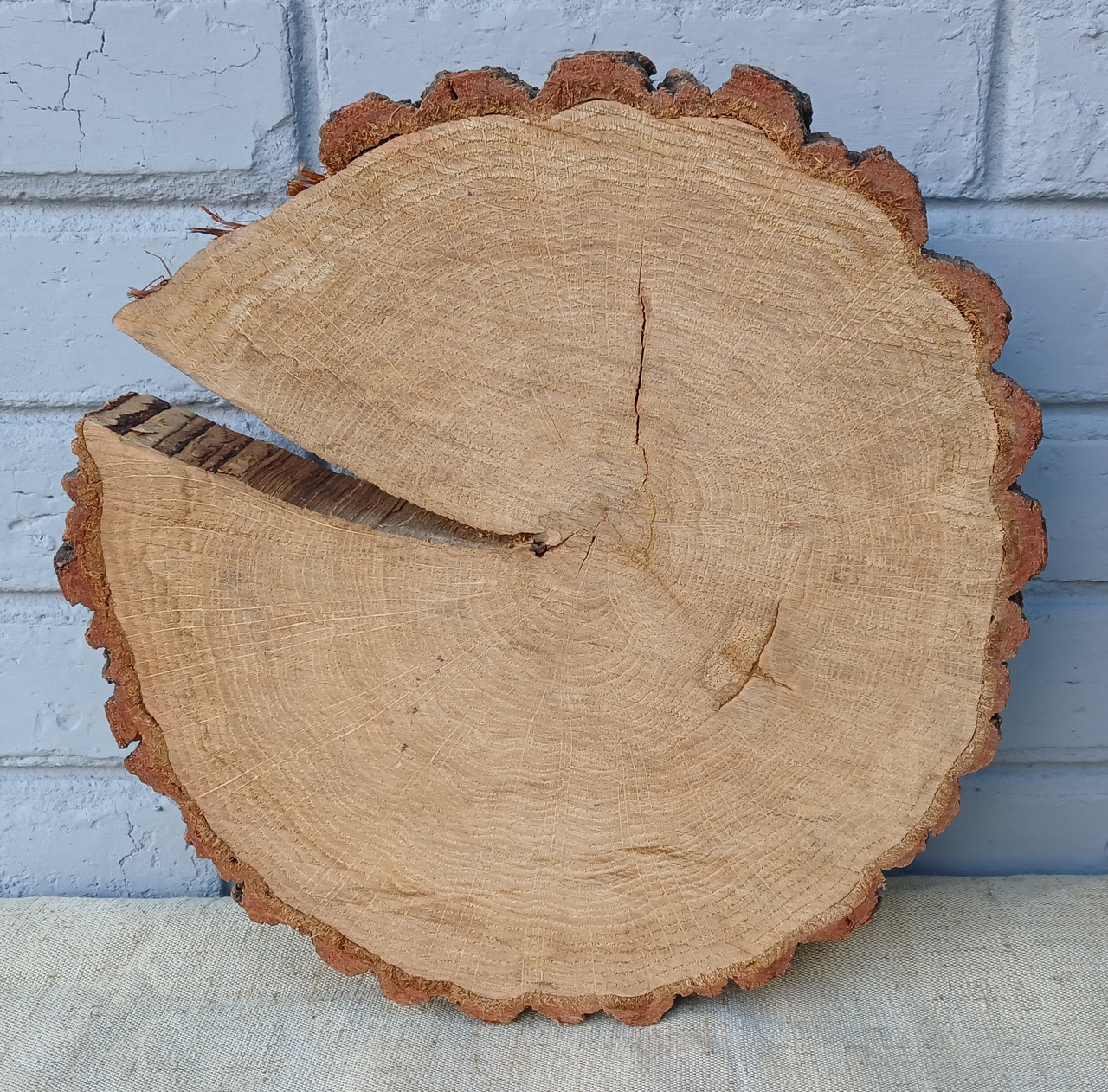 Зріз дерева для декору квартир, офісу, приміщень (не оброблений) 340х320мм.