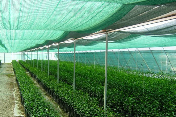 затеняющая сетка купить продажа затеняющей сетки