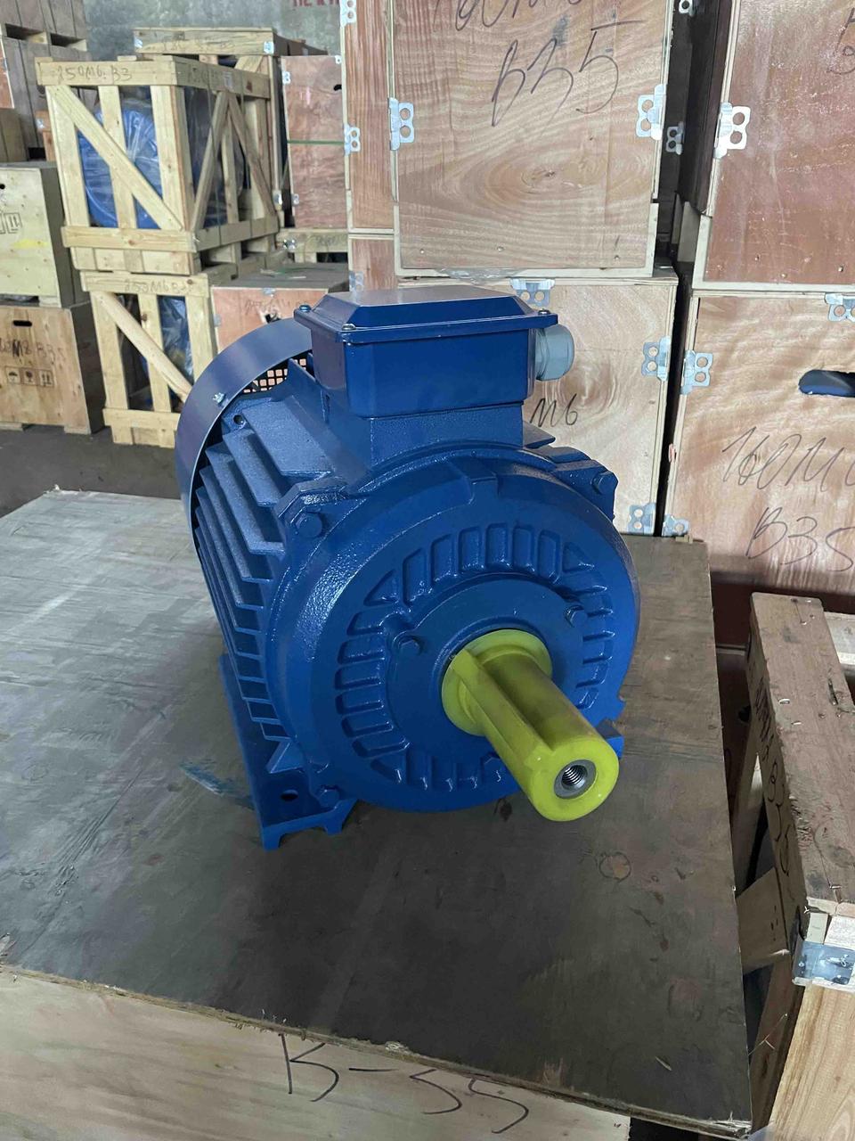 Електродвигун АІР 315 M8 110 кВт, електродвигун 110 кВт 750 об/хв асинхронний, фото 1