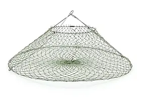 Садок конусний - чорнильниця