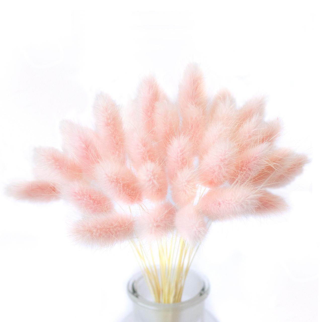 Лагурус декоративний (10 штук, рожевий)