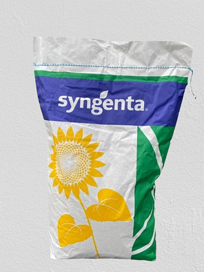 Соняшник Алькантара А-G Syngenta ALCANTARA, класичне насіння соняшника Сингента, фото 1