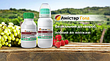 Фунгіцид Амістар Голд 10 мл, Syngenta, фото 3
