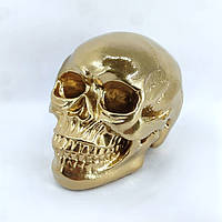 Скарбничка Череп Копілка великий