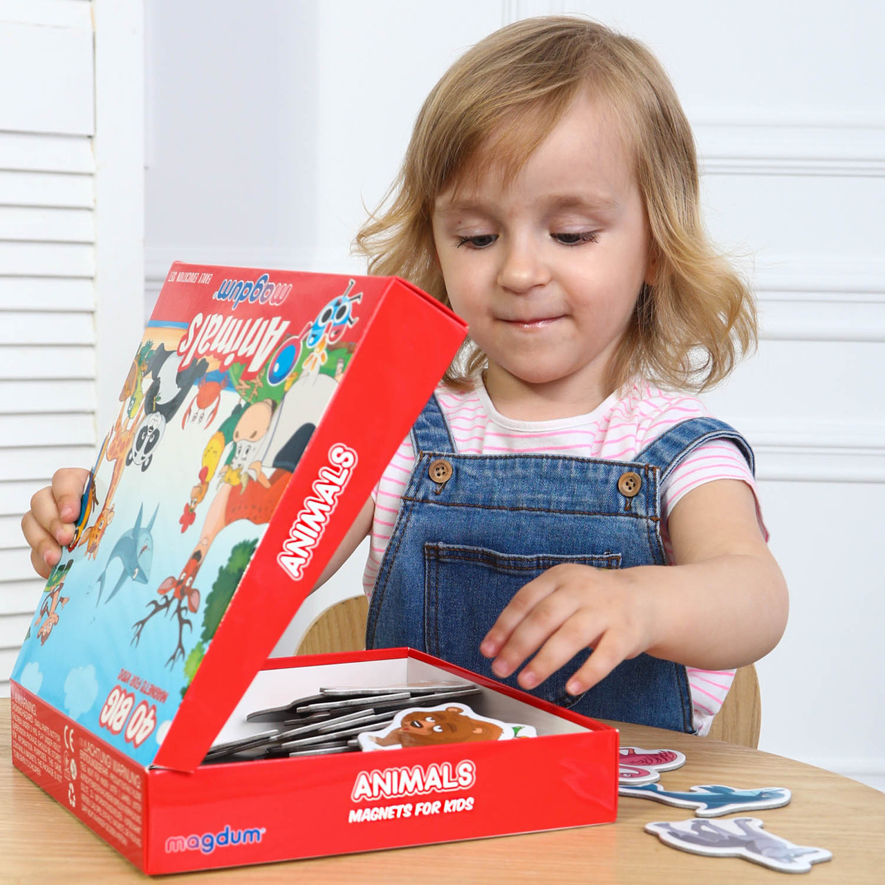 Product image preview