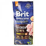 Сухий корм Brit Premium Dog Junior M для цуценят та юніорів середніх порід, з куркою 15кг, фото 4