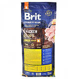 Сухий корм Brit Premium Dog Junior M для цуценят та юніорів середніх порід, з куркою 15кг, фото 5